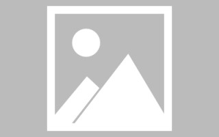 涿州龙江乐从网站建设（乐从和龙江）